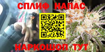 mdpv Дубна