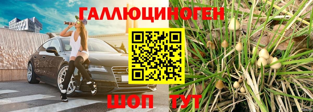 Псилоцибиновые грибы мухоморы Ликино-Дулёво